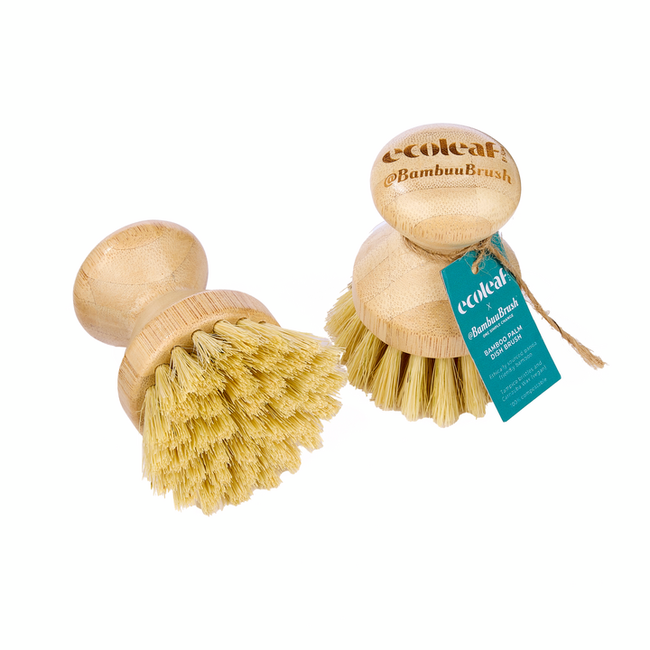 Palm Dish Washing Brush x ECOLEAF