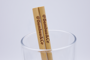 The Reusable Straws - @BambuuBrush®